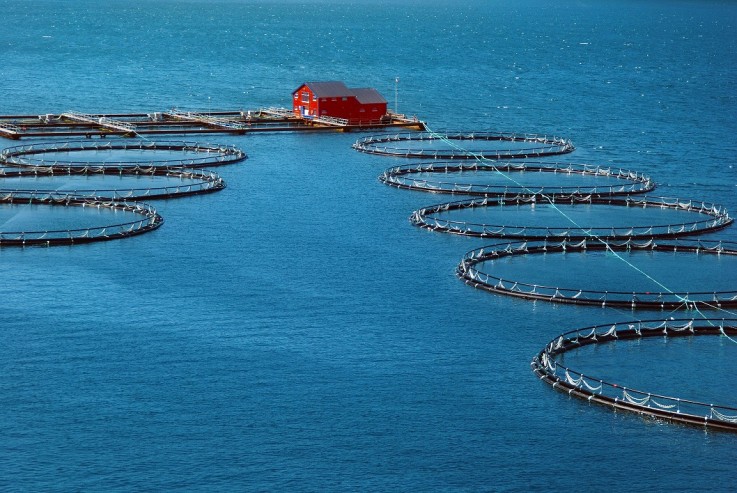 Fishing industry in England & Scotland Pump hire helps salmon manufacturers maintain output