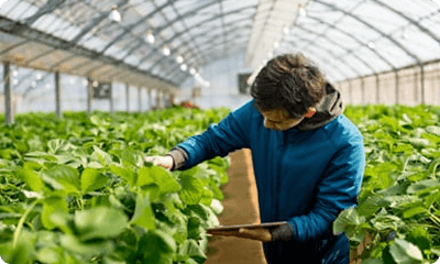 Heating solutions